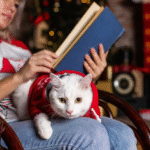 The Cat in the Hat kitabı incelemesi, çocuklar için uygun mu?