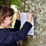 The Giving Tree kitabı incelemesi, çocuklar için uygun mu?