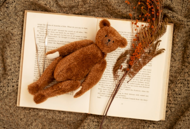 Corduroy kitabı incelemesi, çocuklar için uygun mu?