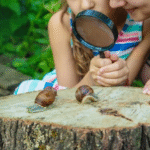 Çocuklarda Doğa ve Keşif Etkinlikleri