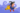 Room on the Broom kitabı incelemesi, çocuklar için uygun mu?