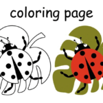 What the Ladybird Heard kitabı incelemesi, çocuklar için uygun mu?