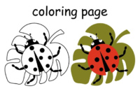 What the Ladybird Heard kitabı incelemesi, çocuklar için uygun mu?