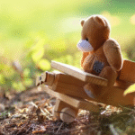 The Berenstain Bears kitabı incelemesi, çocuklar için uygun mu?