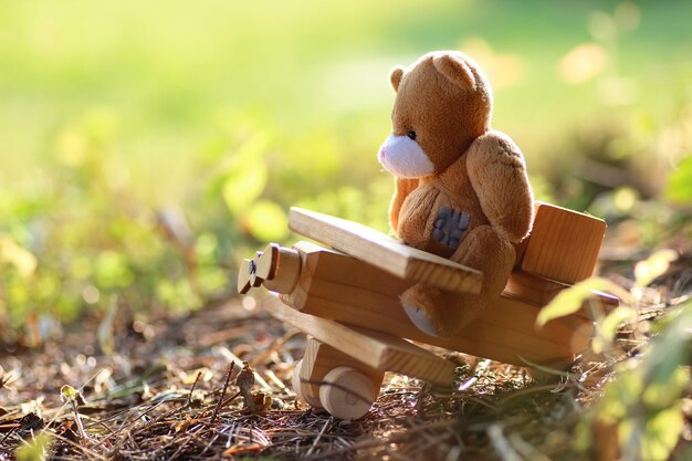 The Berenstain Bears kitabı incelemesi, çocuklar için uygun mu?